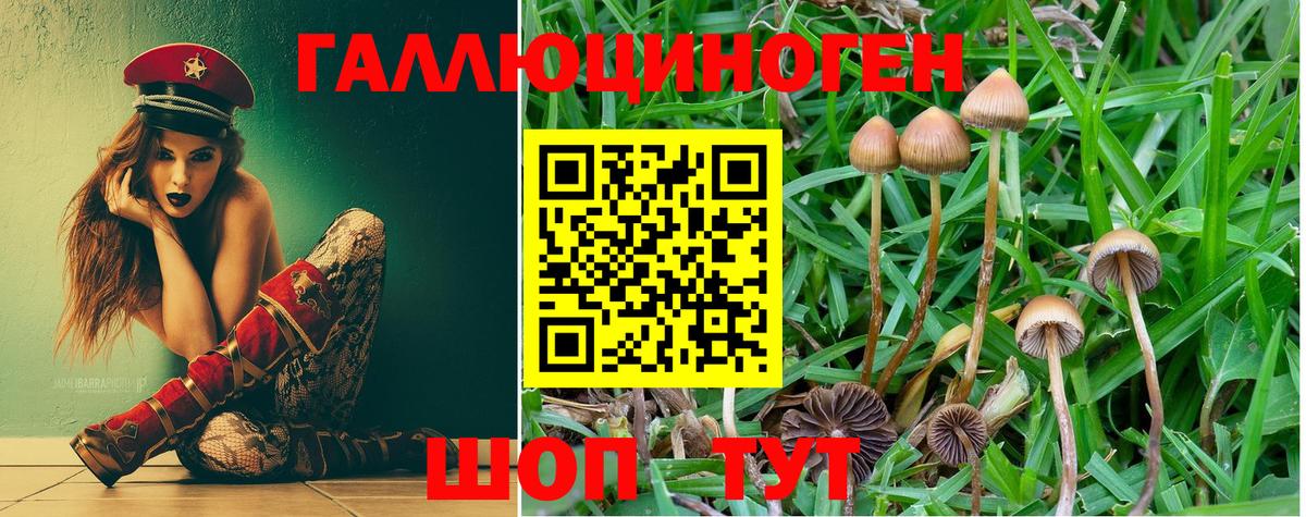 Кубинка  Галлюциногенные грибы мицелий  Вход с VPN  Псилоцибиновые грибы ЛСД 