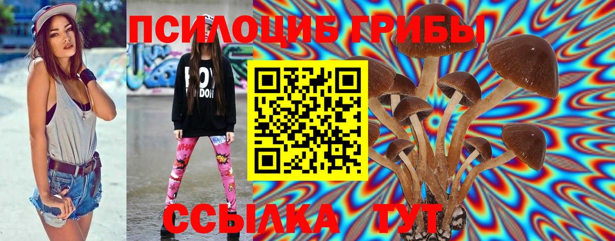 Псилоцибиновые грибы мухоморы Кубинка